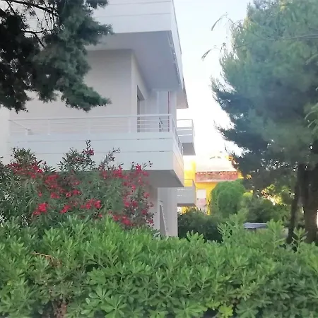 Apartment Via Ancona A 50mt Dal Mare Marcelli